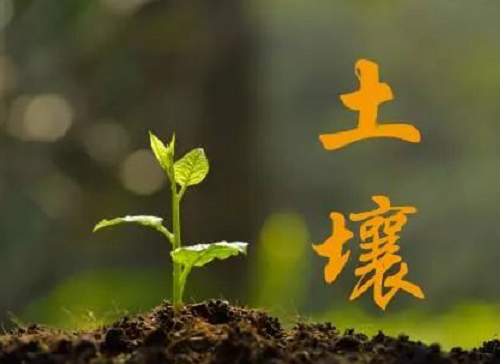 重磅方案：《耕地質(zhì)量保護(hù)與提升行動(dòng)方案》，值得你關(guān)注！