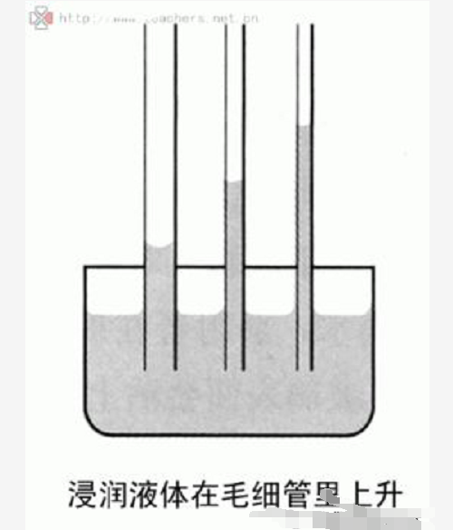 什么是土壤鹽堿（漬）化？