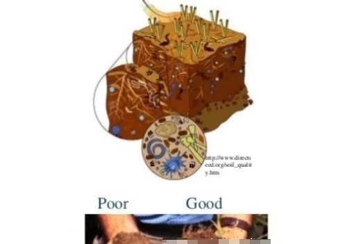 每畝用多少有機(jī)肥，土壤有機(jī)質(zhì)才能增加1％，準(zhǔn)確數(shù)據(jù)來(lái)了！