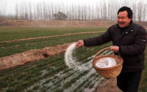 警告：肥料這么用都是白瞎錢(qián)！這些錯(cuò)千萬(wàn)別再犯了！