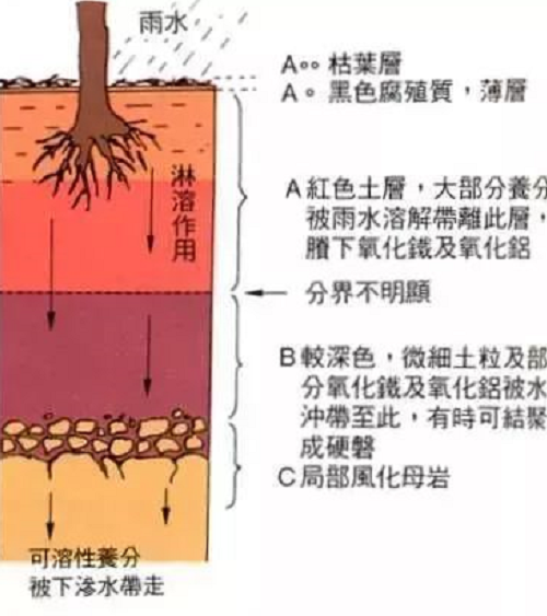 不懂土壤，用的肥用的藥都是浪費(fèi)！