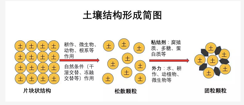 不懂土壤，用的肥用的藥都是浪費(fèi)！