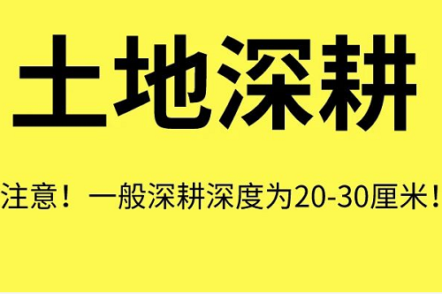 土壤“病了”怎么辦？這8個解決方法快拿走！