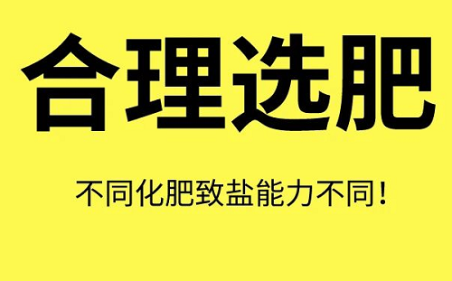 土壤“病了”怎么辦？這8個解決方法快拿走！