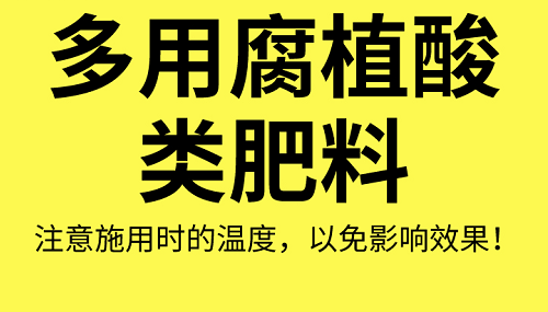 土壤“病了”怎么辦？這8個解決方法快拿走！