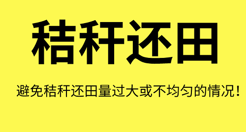 土壤“病了”怎么辦？這8個解決方法快拿走！