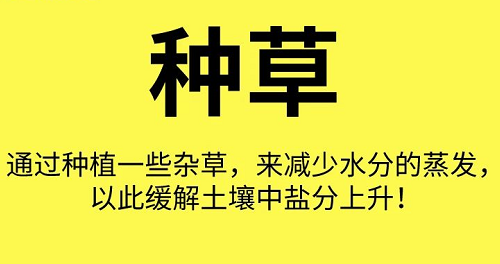 土壤“病了”怎么辦？這8個解決方法快拿走！