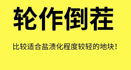 土壤“病了”怎么辦？這8個解決方法快拿走！