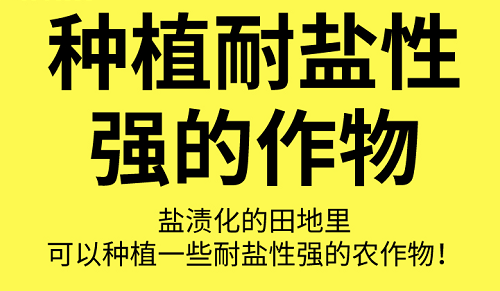 土壤“病了”怎么辦？這8個解決方法快拿走！