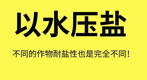 土壤“病了”怎么辦？這8個解決方法快拿走！