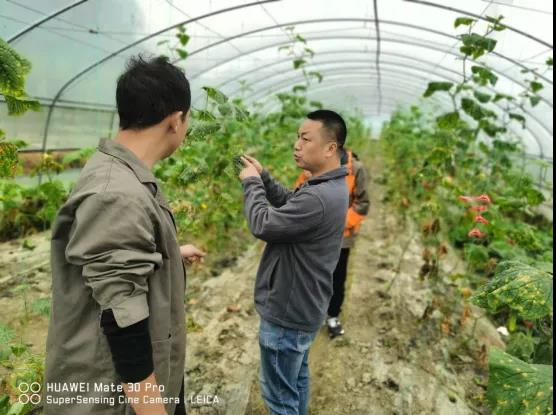 種植戶有需求，中農(nóng)潤澤馬不停蹄趕往基地！