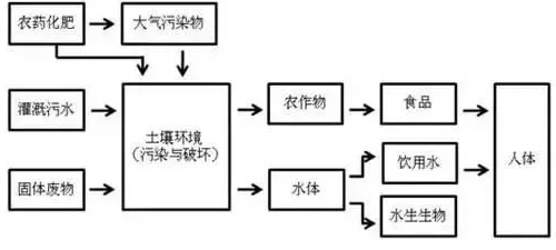 不用再找了！最全的土壤修復(fù)再利用技術(shù)匯總！