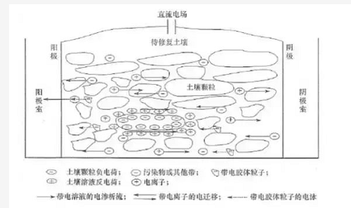 不用再找了！最全的土壤修復(fù)再利用技術(shù)匯總！