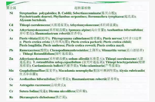 不用再找了！最全的土壤修復(fù)再利用技術(shù)匯總！