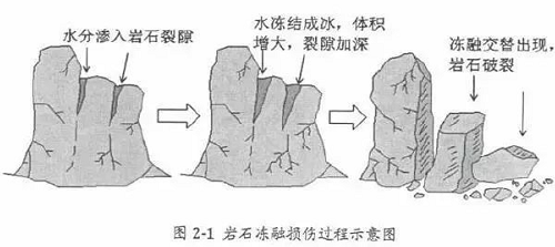 土壤，是地球的皮膚，不僅抵御外部侵襲，更孕育了生命活力。