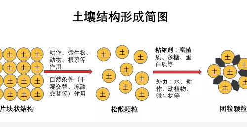 土壤，是地球的皮膚，不僅抵御外部侵襲，更孕育了生命活力。