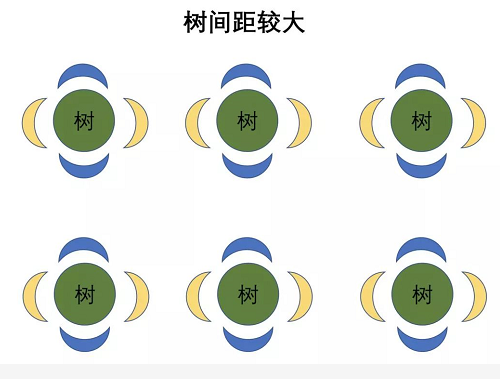 土壤，是地球的皮膚，不僅抵御外部侵襲，更孕育了生命活力。