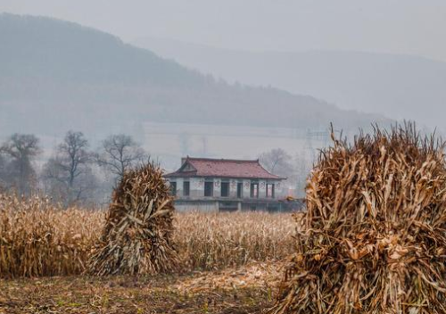 為什么大部分土壤出現(xiàn)酸化？莊稼無法生長？解決問題的出路在哪里