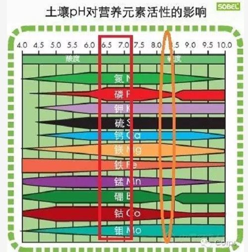 土壤的三大“殺手”！直接影響肥效和作物生長(zhǎng)，90%的人都不知道！