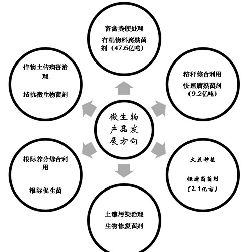 微生物肥的前景何在？！