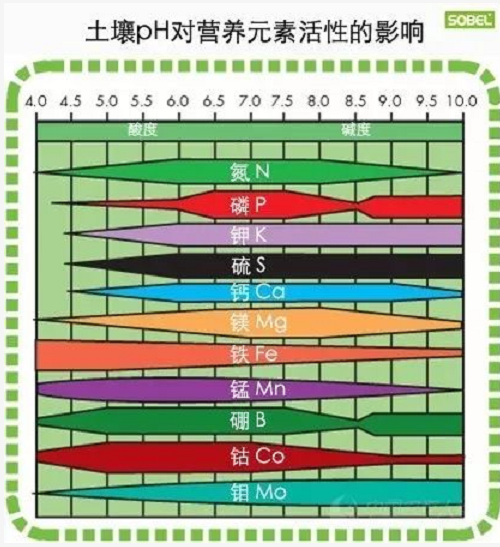 土壤酸堿度失衡有多可拍？你知道嗎？  土壤pH就是指土壤的酸堿度。酸堿度的量程為0至14，依據(jù)pH從小到大分別為