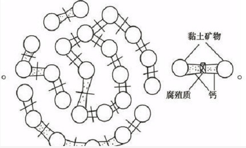 土壤里面學(xué)問大，搞不清楚瞎種地！