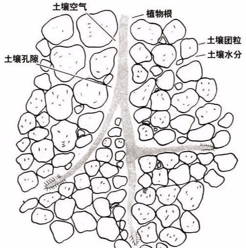 土壤里面學(xué)問大，搞不清楚瞎種地！