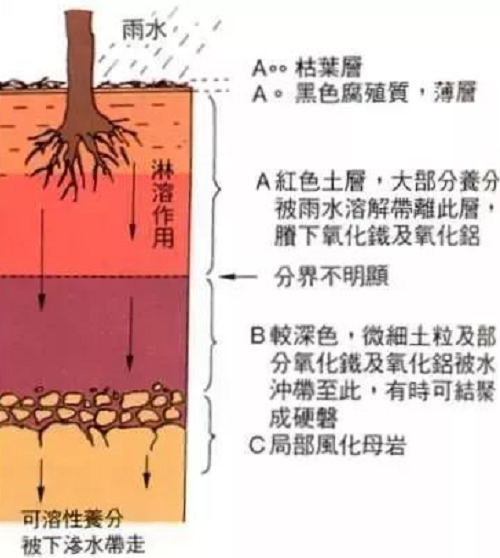 不懂土壤，用的肥用的藥都是浪費！都看看吧！