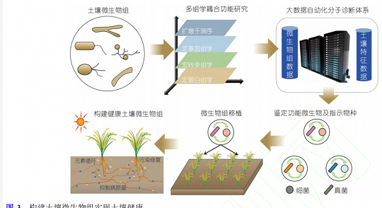 土壤微生物組與土壤健康