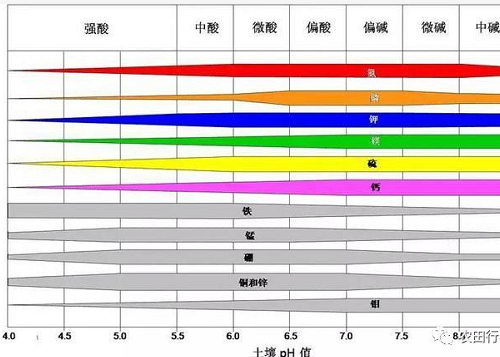 警告：土壤病了，什么莊稼也別想長好！都看看吧！