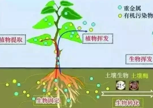 土壤板結(jié)問題，這次終于講透了!