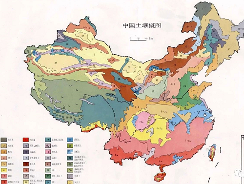 中國(guó)主要土壤類型，看看你家屬于哪一種！