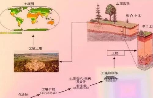 有機(jī)肥不等于土壤有機(jī)質(zhì)，不是施有機(jī)肥就是增加土壤有機(jī)質(zhì)