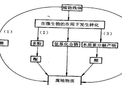 有機(jī)肥不等于土壤有機(jī)質(zhì)，不是施有機(jī)肥就是增加土壤有機(jī)質(zhì)