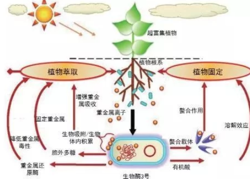 土壤健康的6個指標