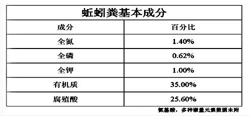 蚯蚓對(duì)土壤的3大貢獻(xiàn)！無可替代！