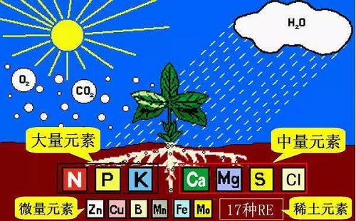 有機(jī)肥最“厲害”的地方在哪里？90%的人都不知道···