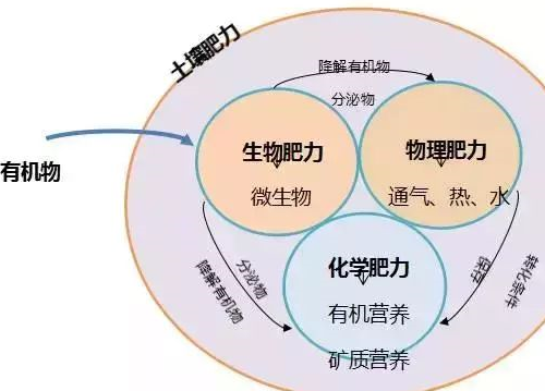 有機(jī)肥最“厲害”的地方在哪里？90%的人都不知道···