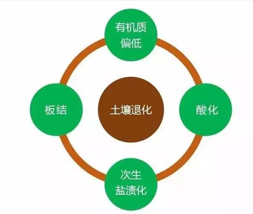 近年來(lái)，隨著信息技術(shù)、生物技術(shù)、人工智能、大數(shù)據(jù)技術(shù)等發(fā)展迅猛，土壤學(xué)亟需應(yīng)用這些高技術(shù)來(lái)表征土壤物