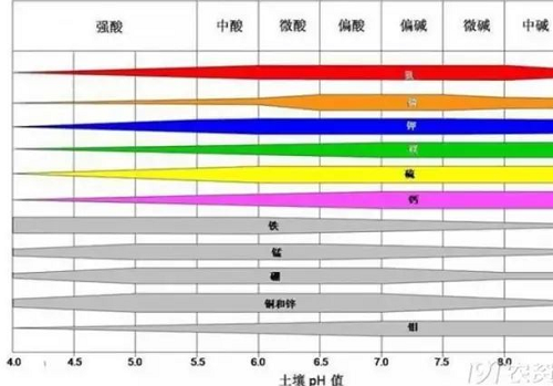 緊急通知！別施肥了，趕緊看看吧！