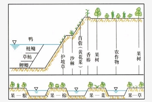 關(guān)于土壤，這些你都要知道！