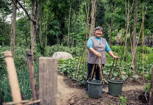 土壤與氣候變化、生物多樣性和糧食安全