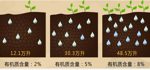 土壤也和咱人類一樣有健康疾病之分？標準的關鍵在于它！