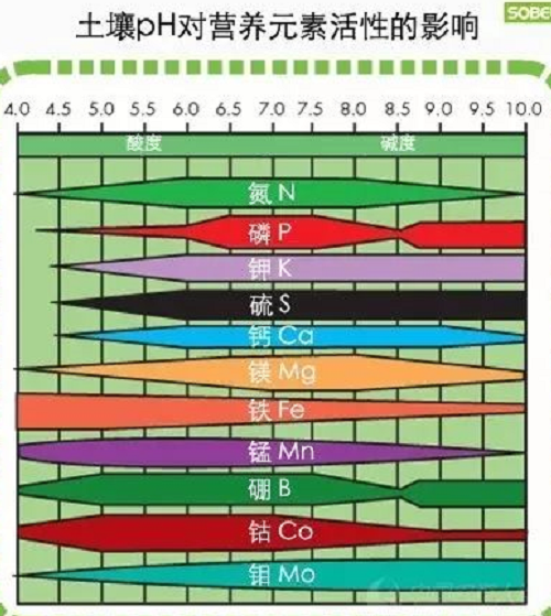 土壤酸堿度失衡有多可怕？你知道嗎？