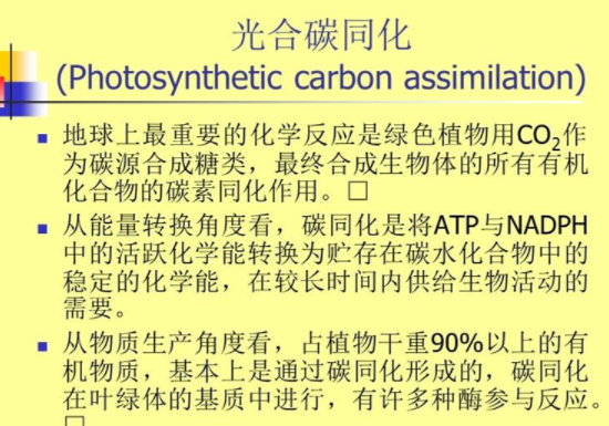 王根禮：碳同化是實現(xiàn)碳氫核肥碳中和的根本途徑