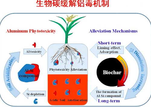 陳寶梁：向自然學(xué)習(xí)土壤污染防治