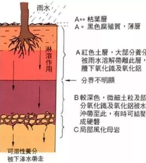 不懂土壤，你用再多肥再多藥都是浪費(fèi)！