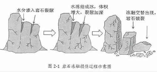 不懂土壤，你用再多肥再多藥都是浪費(fèi)！