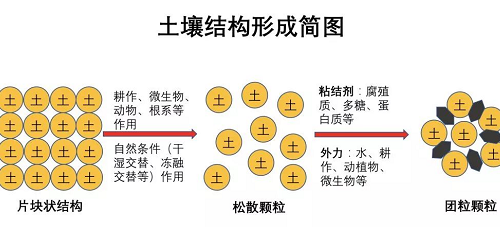 不懂土壤，你用再多肥再多藥都是浪費(fèi)！