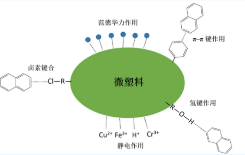 土壤微塑料與重金屬、持久性有機(jī)污染物和抗生素作用影響因素